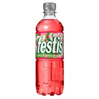 FESTIS WILD STRAWBERRY 50CL (12st)