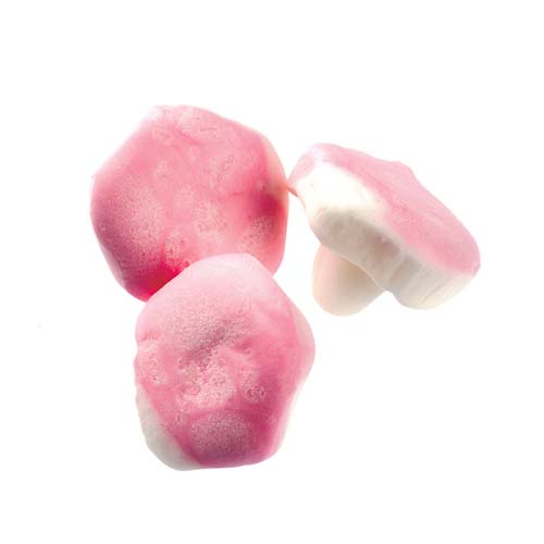 FRUKTSVAMPAR - 1,8 kg