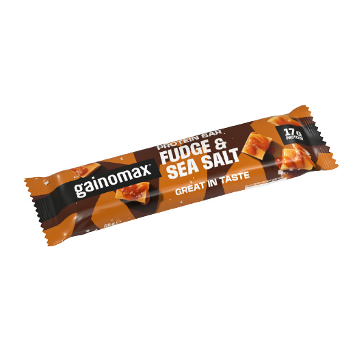 Gainomax Fudge Seasalt 60G